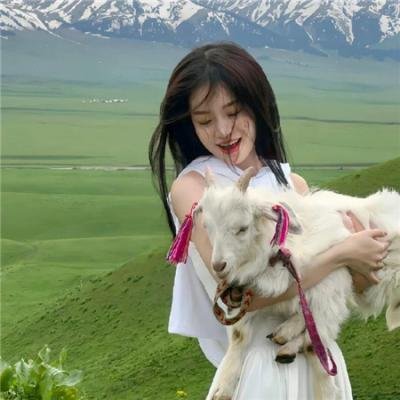 丞相大人今天被撩了吗